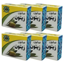 صابون شستشو گیاهستان حکیم مدل زیتون وزن 70 گرم بسته شش عددی