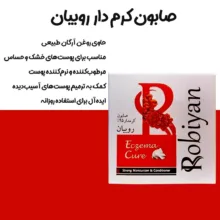 صابون شستشو روبیان مدل 25 وزن 100 گرم مجموعه 12 عددی