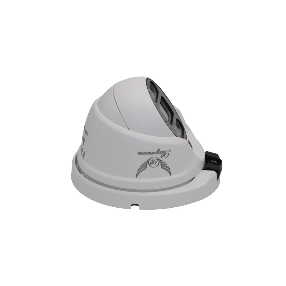 دوربین مداربسته تحت شبکه رایمون مدل RD-5MP-H52-IP