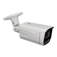 دوربین مداربسته آنالوگ رایمون مدل RB-2MP-8312-AHD