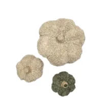 کوسن مدل کدو تدی مجموعه سه عددی