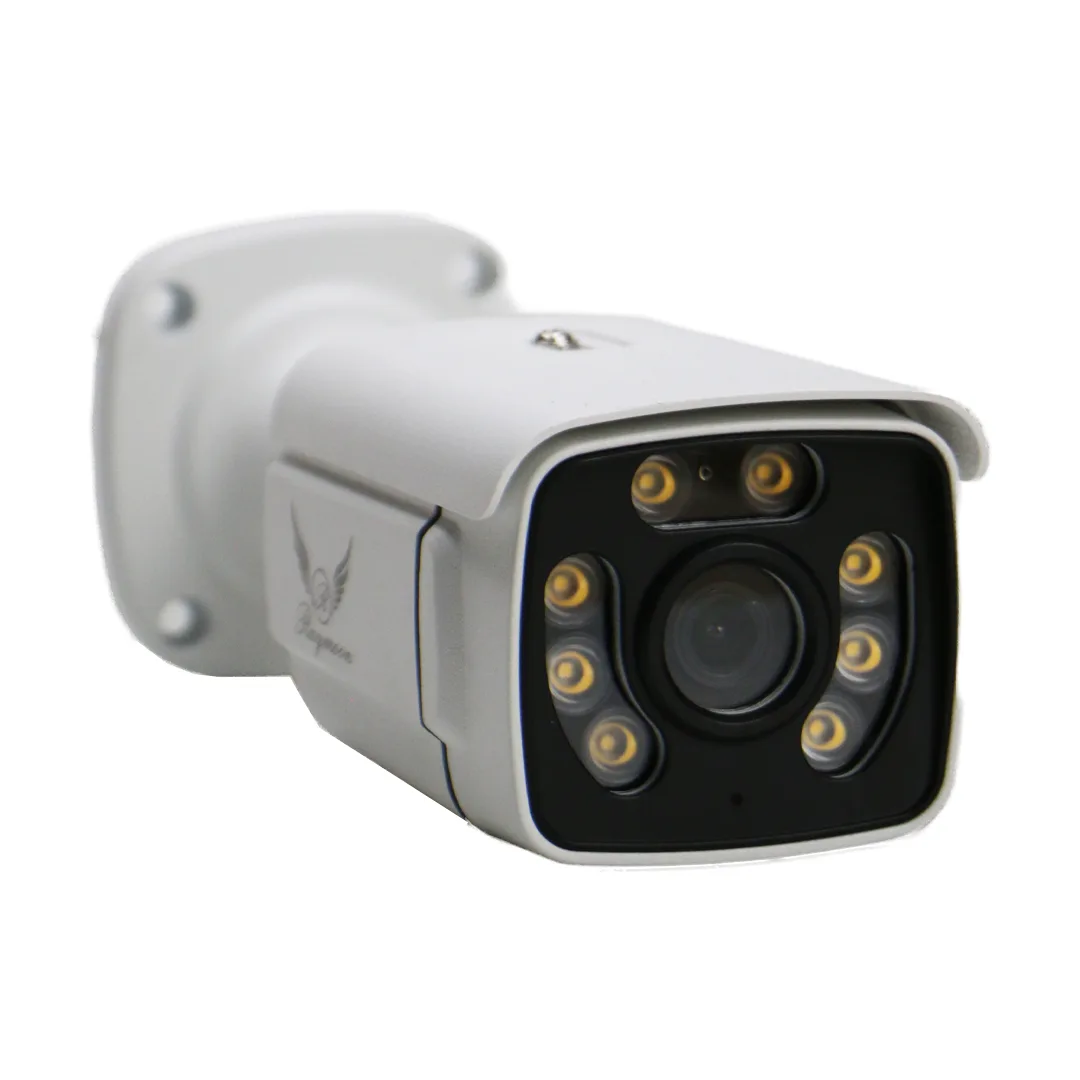 دوربین مداربسته تحت شبکه رایمون مدل RB-5MP-8320-POE
