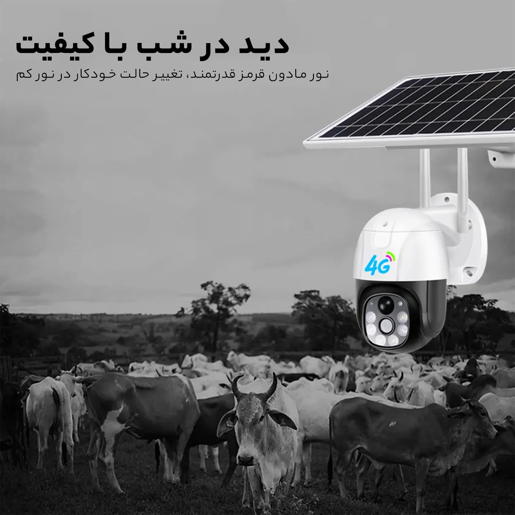 دوربین مداربسته تحت شبکه مدل 4G