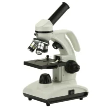میکروسکوپ مدل زیستی کد Focus2 به همراه نمونه آماده