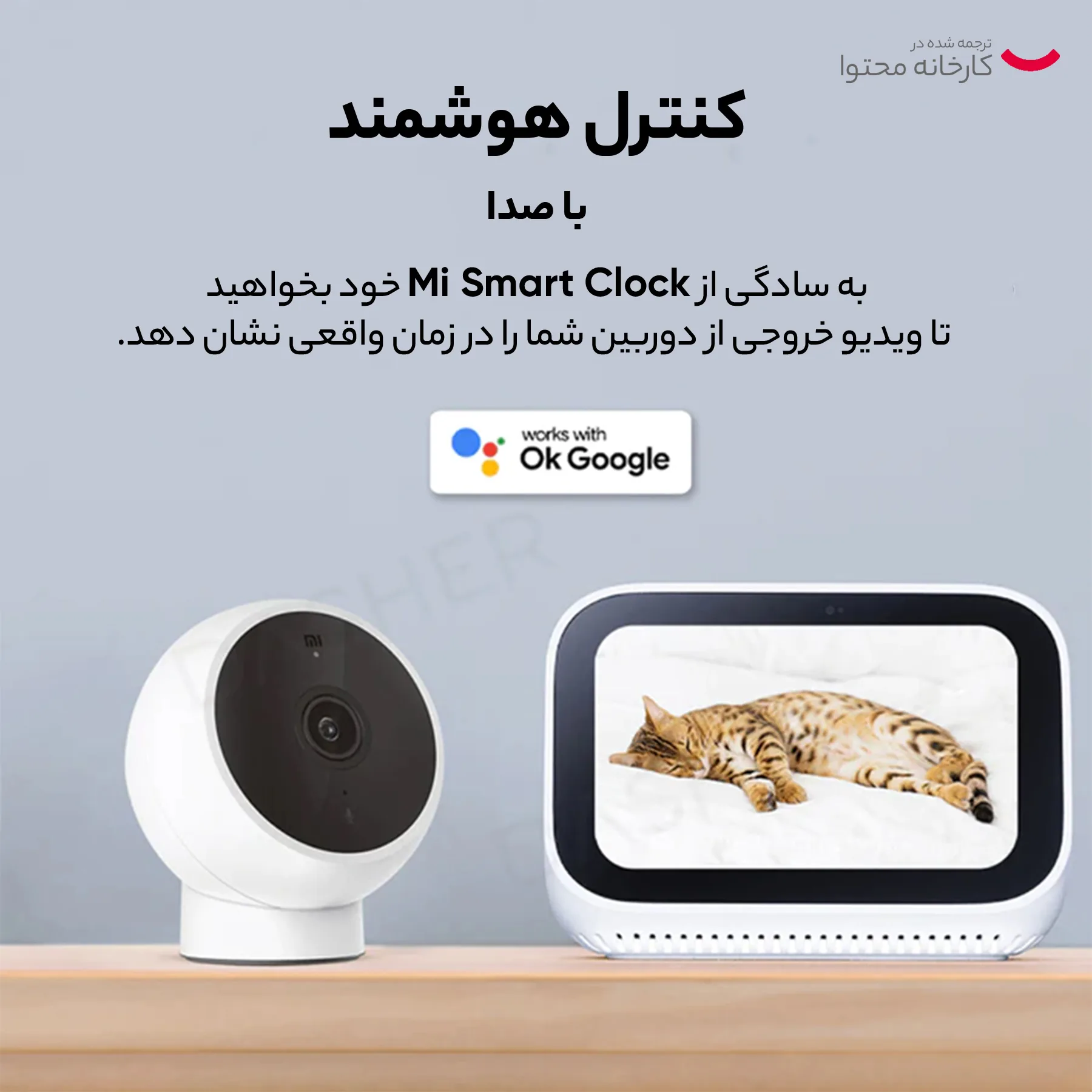 دوربین مداربسته تحت شبکه شیائومی مدل MJSXJ02HL Global