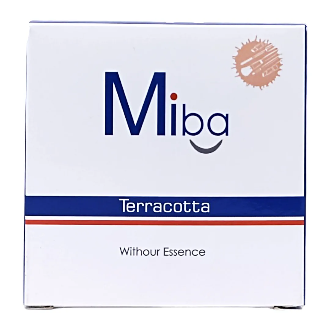 رژ گونه میبا مدل تراکوتا شماره m19