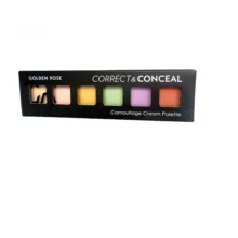 پالت كاموفلاژ كرمي گلدن رز مدل Correct & Conceal