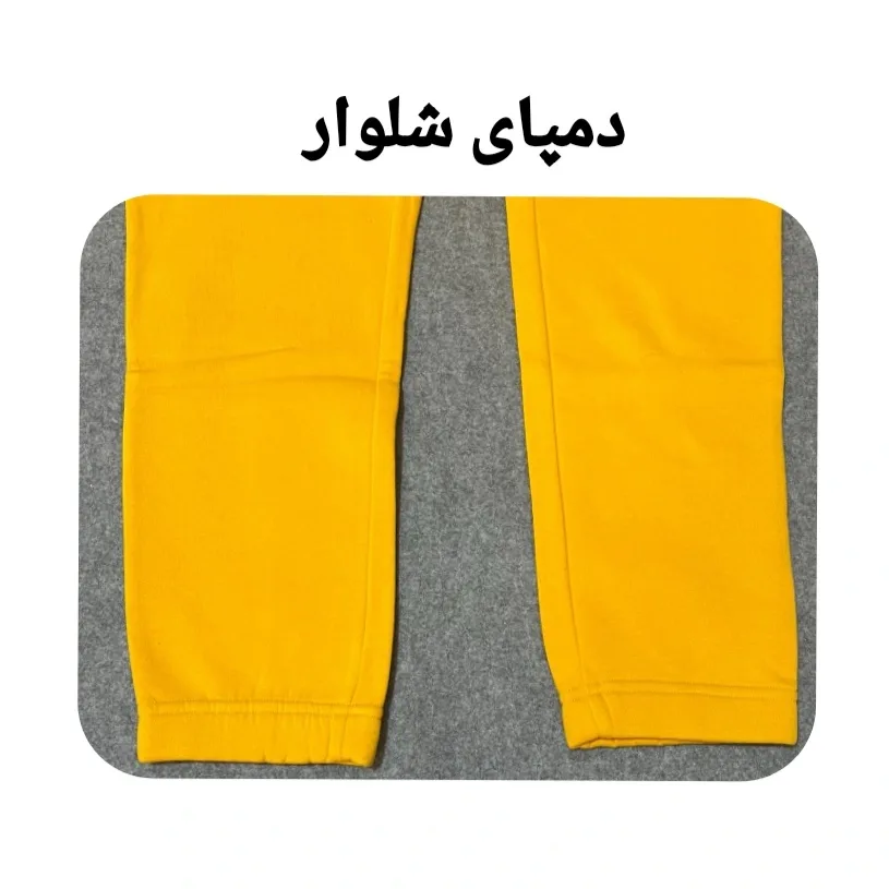 ست هودی و شلوار زنانه مدل P0041176 P0040246