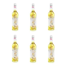 سیروپ وانیل بارتینی – 900 گرم بسته 6 عددی