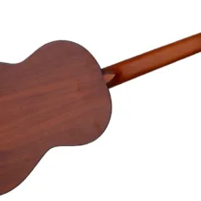 گیتار پارسی مدل M2
