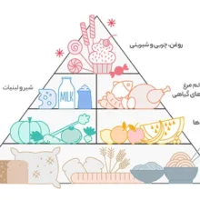 برنج صدری هاشمی آقاجانیان - 10 کیلوگرم