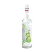 سیروپ موهیتو بارتینی  – 900 گرم