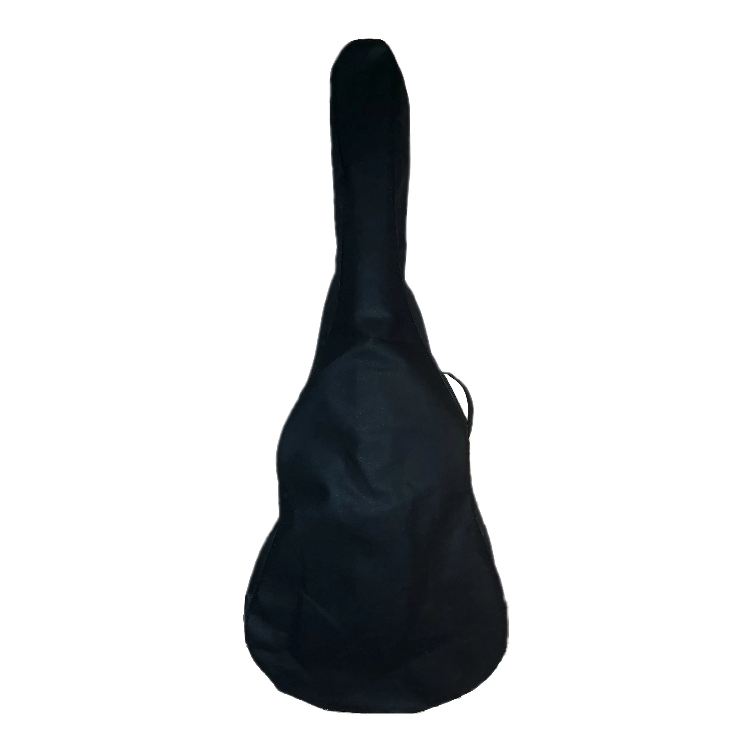 گیتار پارسیان مدل B1