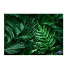 تخته گوشت مدل شیشه ای LEAF