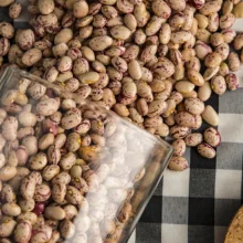 لوبیا چیتی فامیلا مقدار 900 گرم