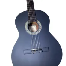 گیتار کلاسیک پارسی مدل M4