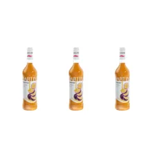 سیروپ پشن فروت بارتینی – 900 گرم بسته 3 عددی