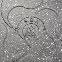 تابه مدل ساندویچ ساز رو گازی دو طرفه SGN سایز 25