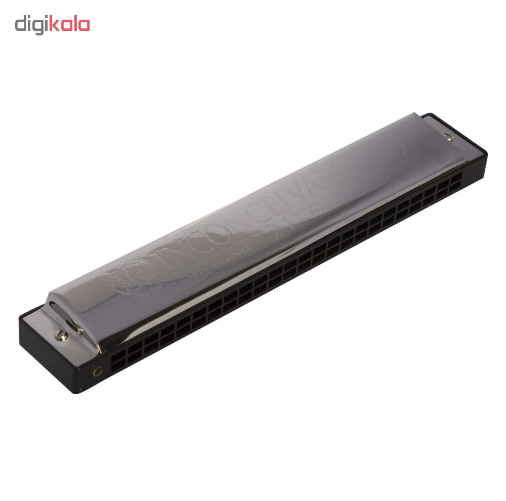سازدهنی دیاتونیک 24 سوراخ مدل SWAN کد RF140