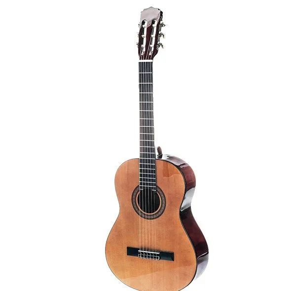 گیتار کلاسیک جان ویلیامز طرح ساده JW-600