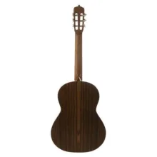 گیتار کلاسیک پارسی مدل M6