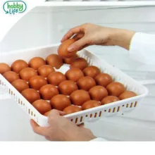 ظرف نگهدارنده تخم مرغ هوبی لایف مدل 1053