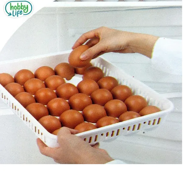 ظرف نگهدارنده تخم مرغ هوبی لایف مدل 1053
