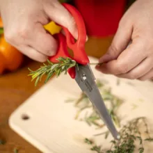 قیچی آشپزخانه کن ریکن مدل Household