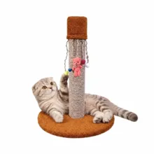 اسکرچر گربه کد 100