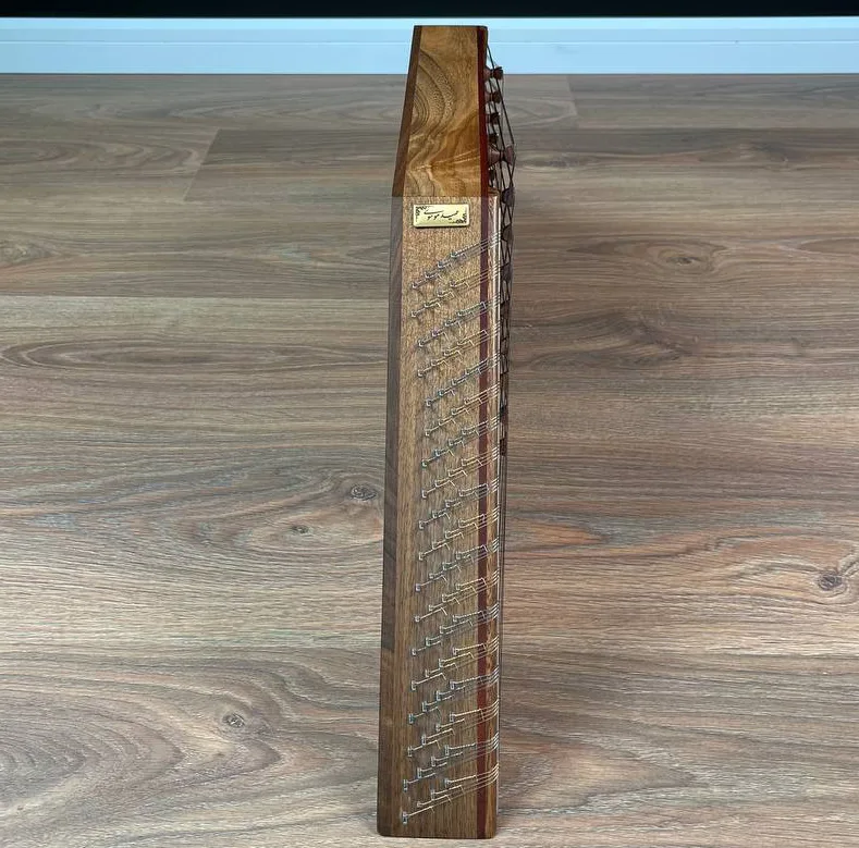 سنتور حمید موسوی مدل رزوود