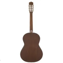 گیتار کلاسیک پارسی مدل M2