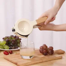 آبمیوه گیری دستی مدل VANQ3046