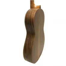 گیتار کلاسیک پارسی مدل M6
