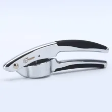 سیر له‌ کن جی فی نی مدل G-Z01