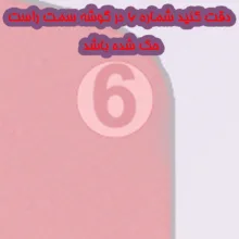 تخته گوشت کامل کد 456