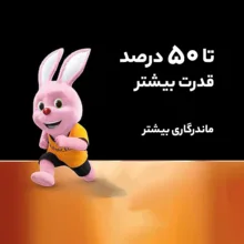 باتری قلمی دوراسل مدل PLUS-LR6 بسته 10 عددی