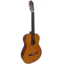 گیتار مدل C40