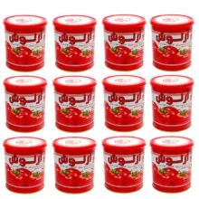 کنسرو رب گوجه فرنگی آرنوش – 800 گرم مجموعه 12 عددی