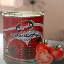 رب گوجه فرنگی ماهوند _ 800 گرم بسته 6 عددی