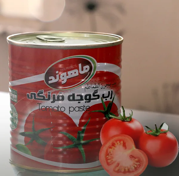 رب گوجه فرنگی ماهوند _ 800 گرم بسته 6 عددی