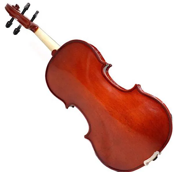 ویولن آماتی کد 100