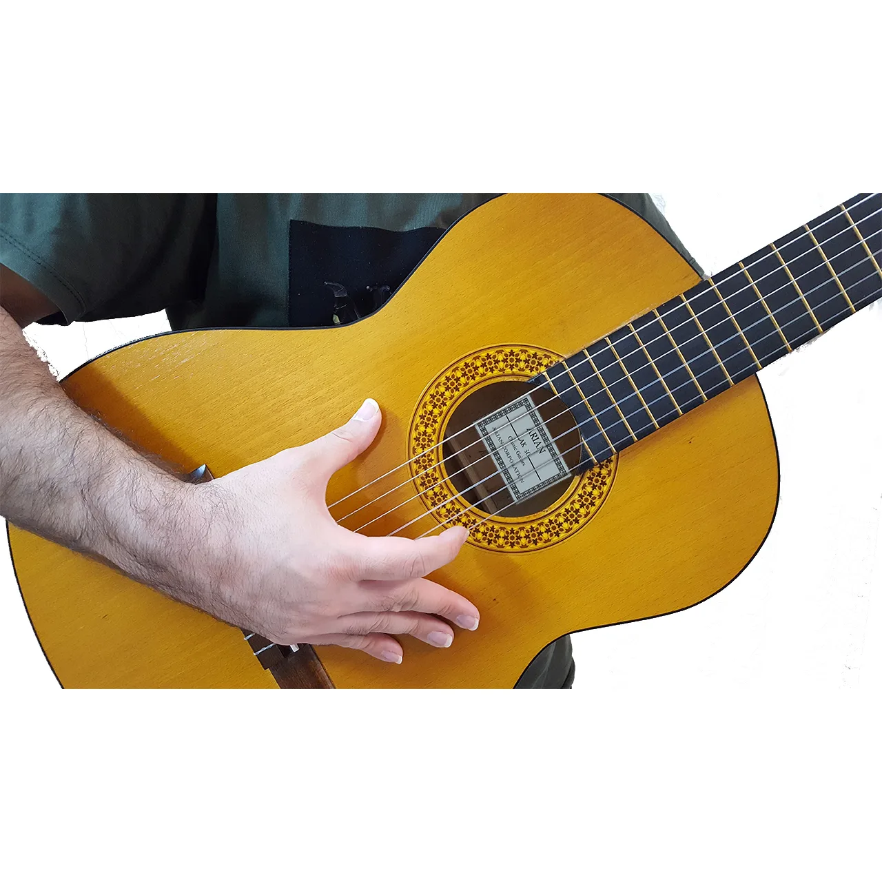 گیتار آرین مدل AK 30