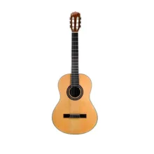 گیتار کلاسیک جان ویلیامز طرح ساده  JW-600