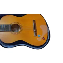 گیتار مدل دسپرادو s4