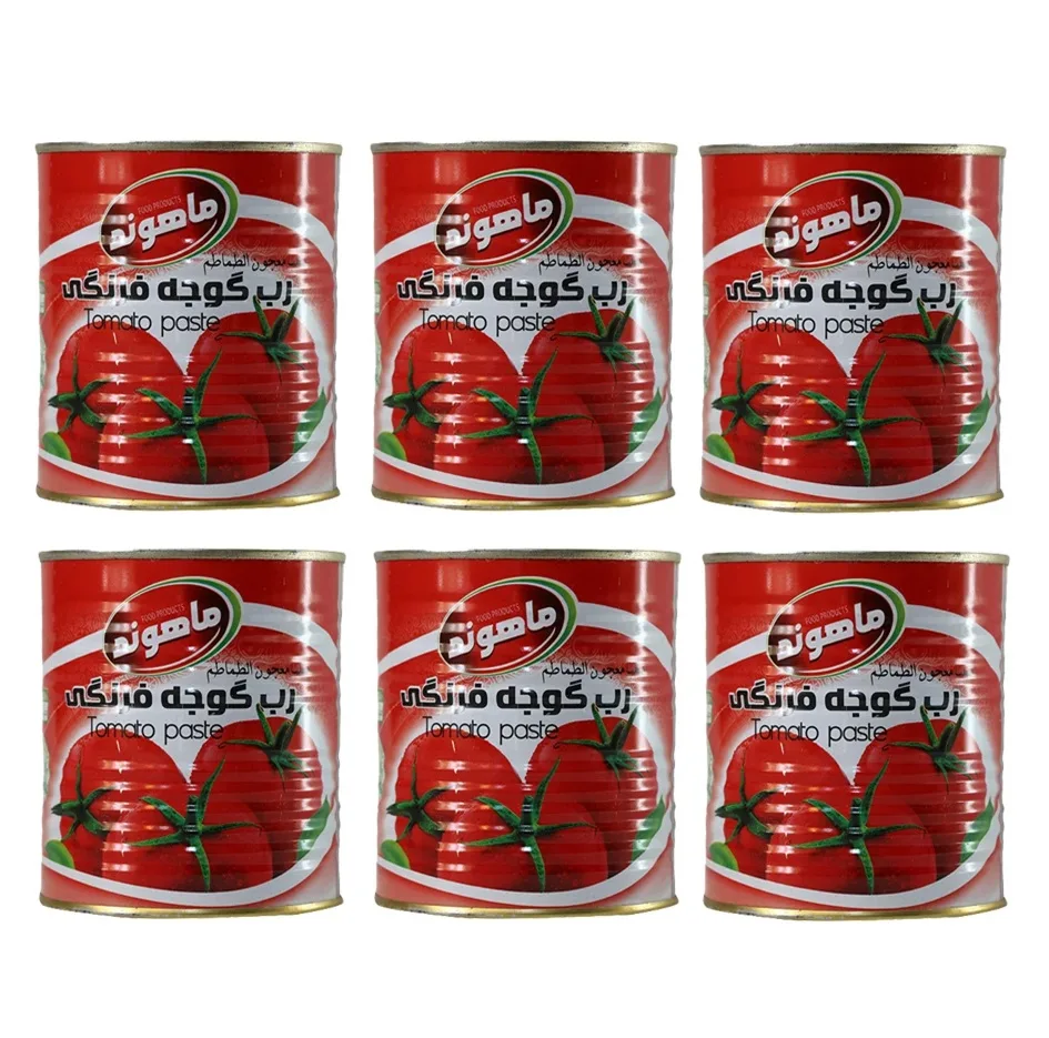 رب گوجه فرنگی ماهوند _ 800 گرم بسته 6 عددی