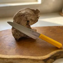 چاقو آشپزخانه پناهنده مدل راسته بری