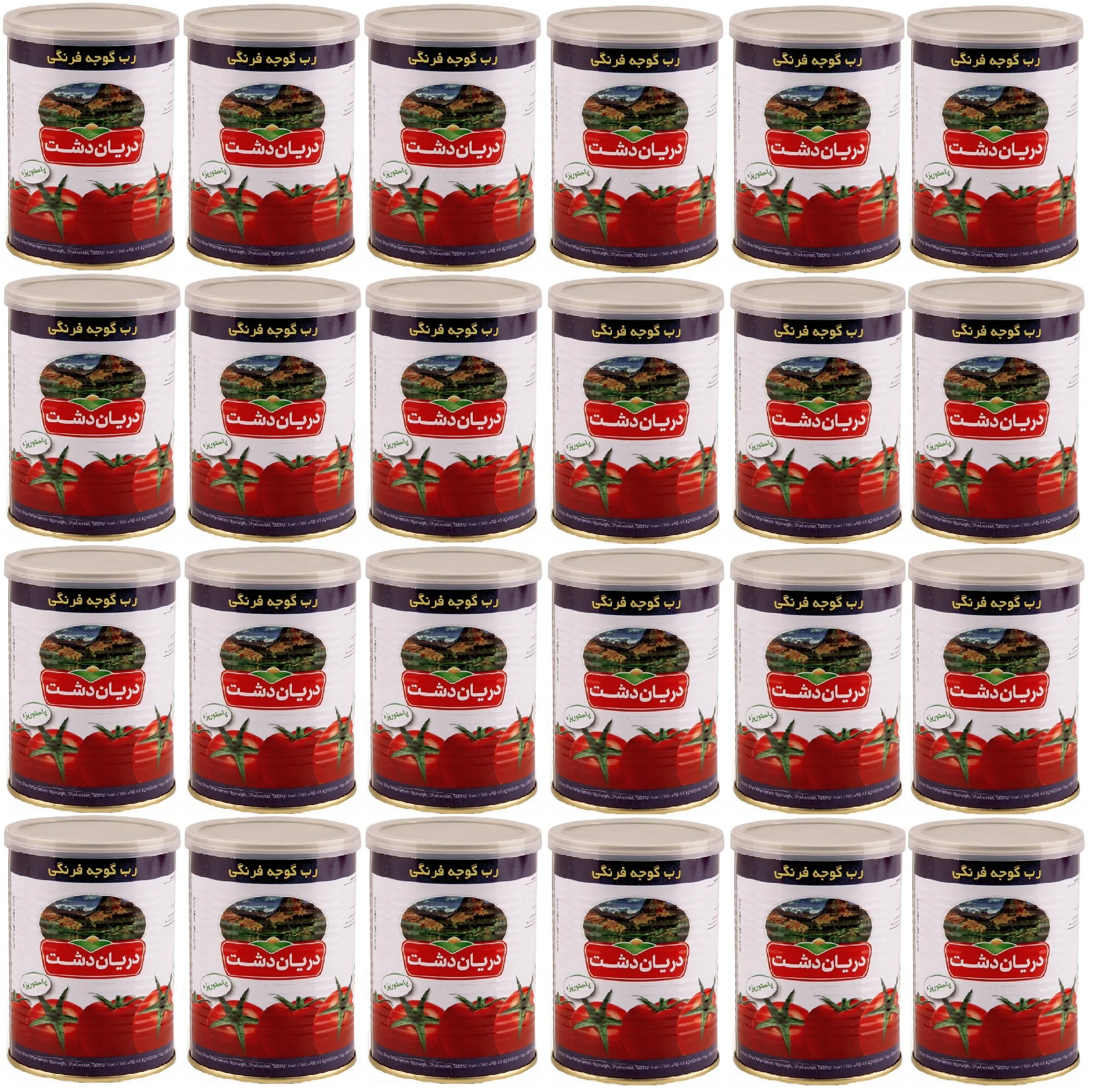 رب گوجه فرنگی دریان دشت - 400 گرم بسته 24 عددی