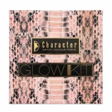 پالت هایلایتر صورت کرکتر مدل glowkit 001