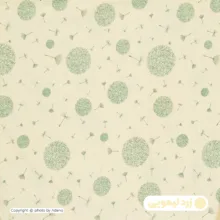 روبالشی آدنو مدل قاصدک کد FI112 سایز 70x50 سانتی متر بسته 2 عددی