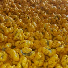 نقل گردویی زعفرانی ارومیه بهار - 1 کیلوگرم